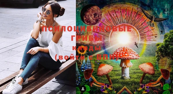 PSILOCYBIN Бородино